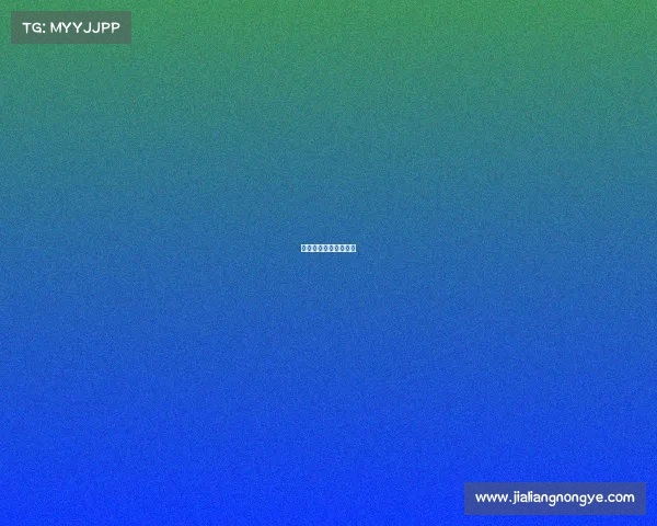 电子竞技比赛名次排名